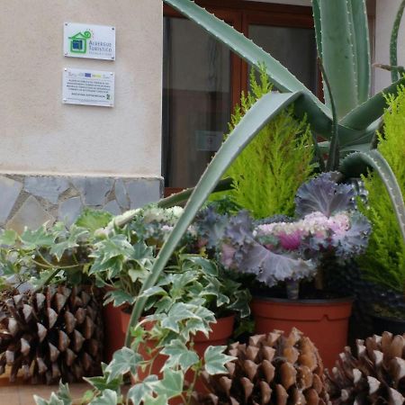 Albergue Turistico Tierras Altas Fuentes de Magana Exteriör bild